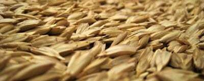 Ancient Wheat Grains: Einkorn, Emmer (farro), and Spelt… Nutritionally Better?