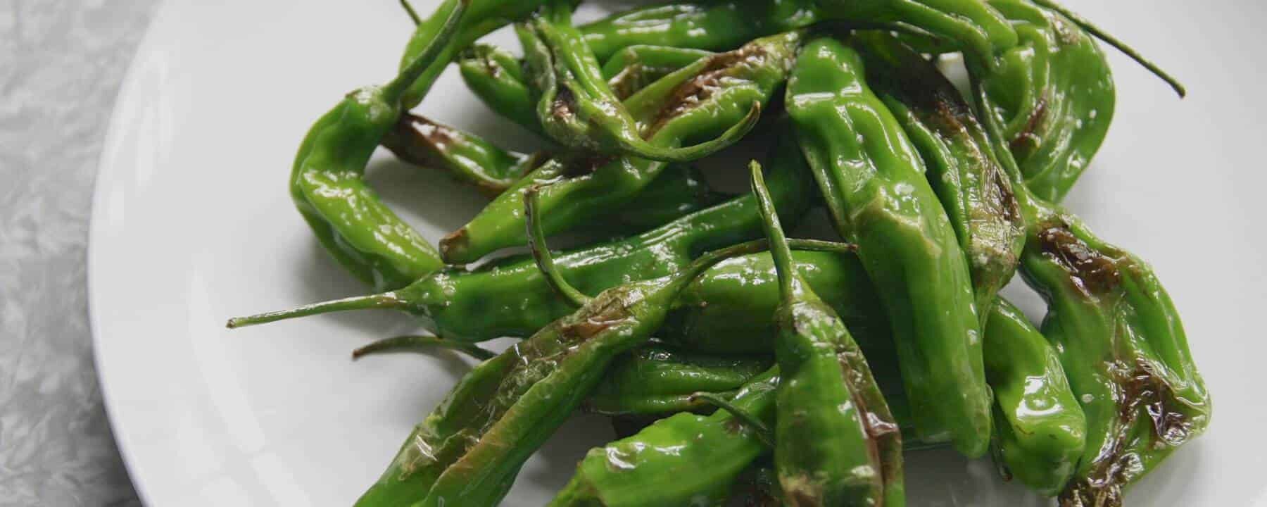 CARE Recipe: Quick-fried Shishito Peppers (Japanese Pub Food)