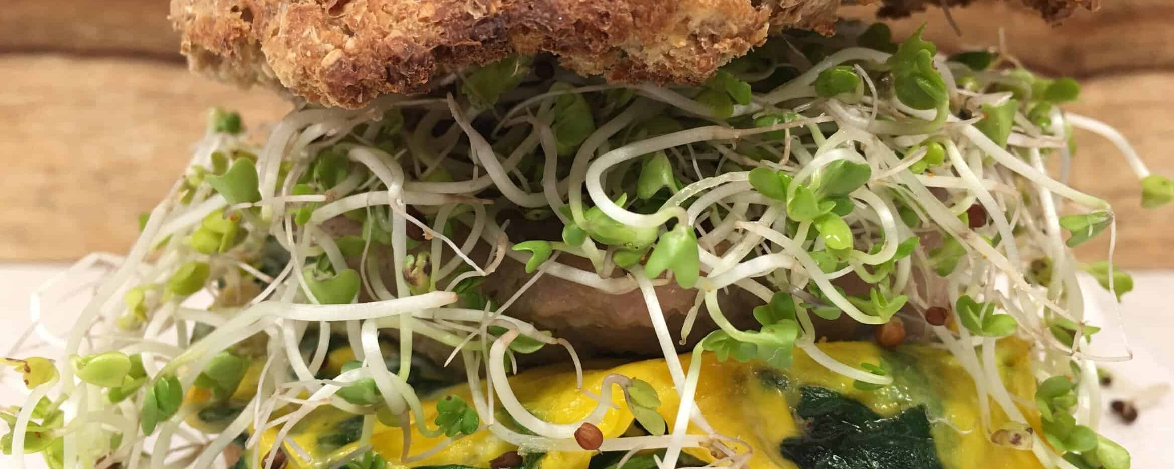 CARE Recipe: Sausage Breakfast Sandwich with Broccoli Sprouts